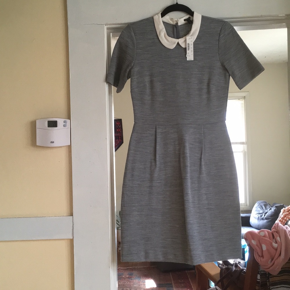 J. Crew Peter Pan Collar Dress